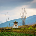 Bhutan: Field in Punakha
