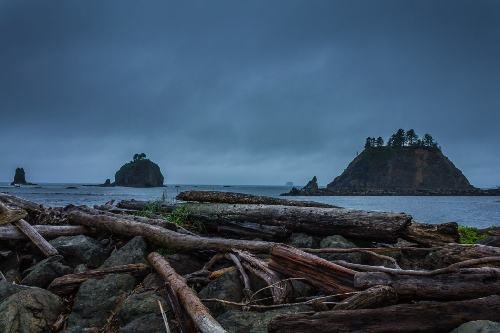 The view from Quileutae Oceanside Resort in La Push, WA