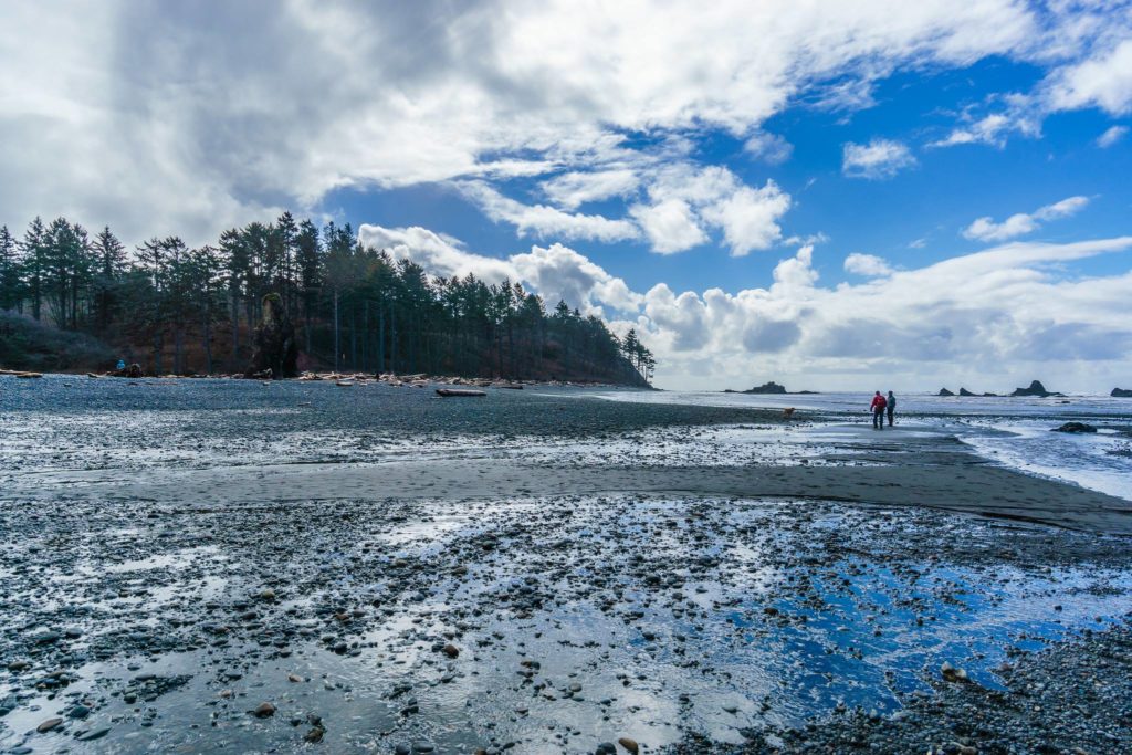 Ruby Beach at Olympic National Park