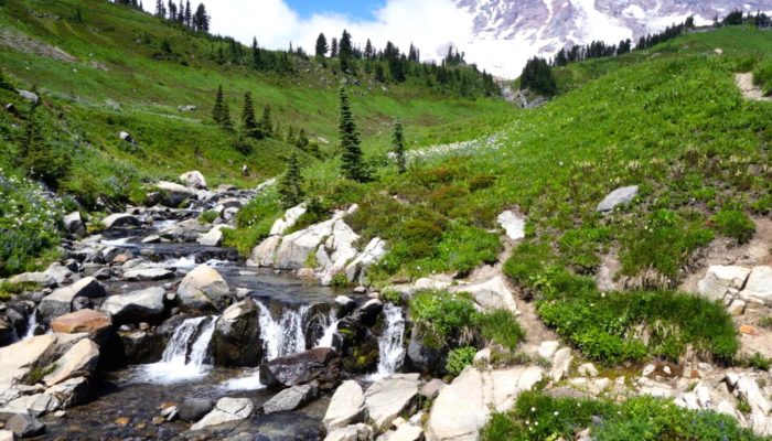 Mt. Rainier, Washington, USA