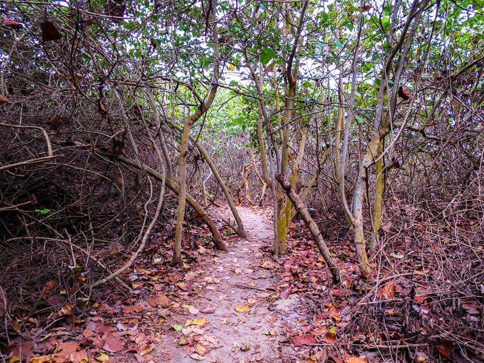 Two days in Tayrona National Park, Colombia