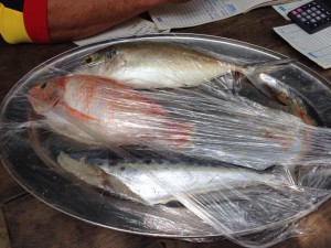 Fish menu in Tayrona National Park