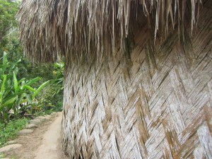 Traditional Kogi home.