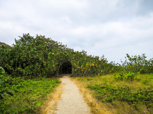 Tayrona National Park