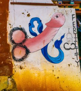 Bhutan: Penis in Punakha