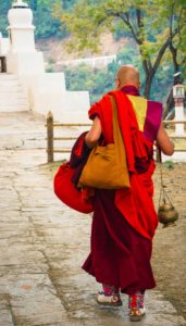Monk at the Punakha Dzong Bhutan