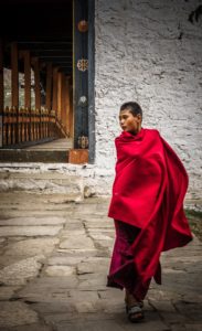 Monk at the Punakha Dzong Bhutan