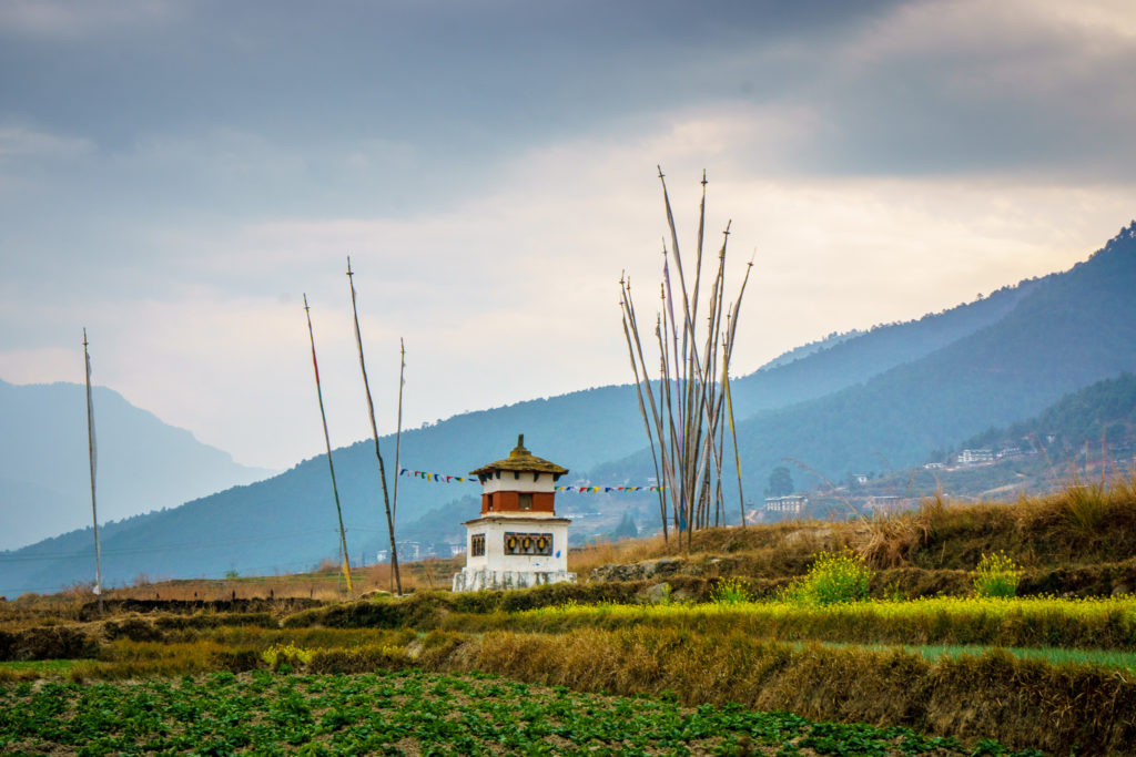 Bhutan: Field in Punakha