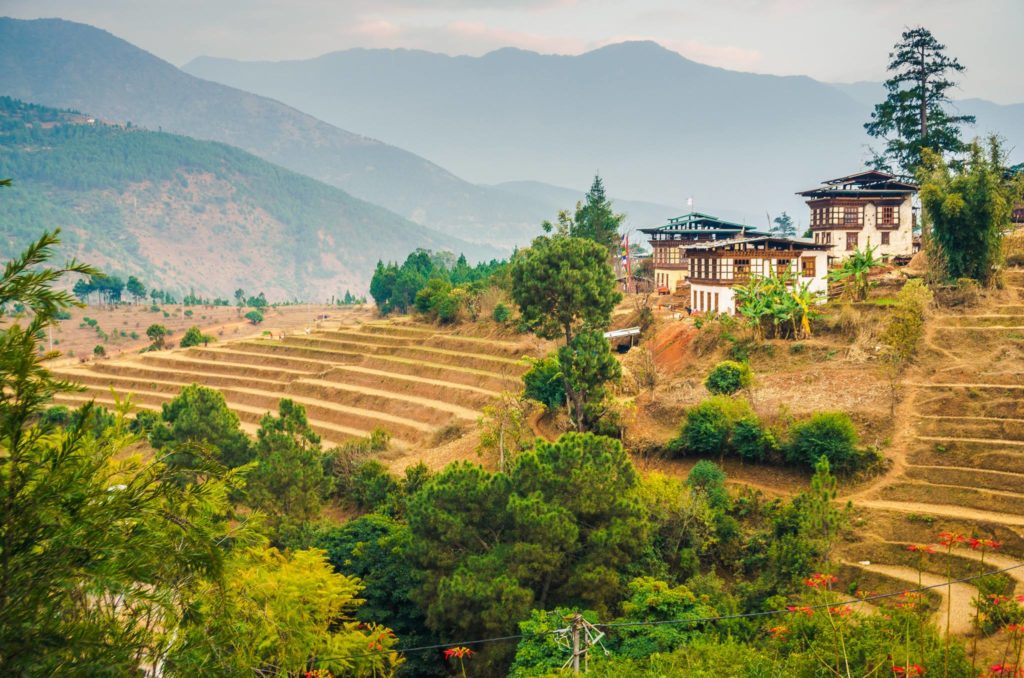 Fields in Punakha Bhutan