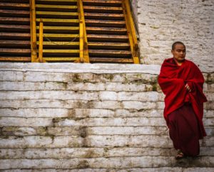 Monk at Punakha Dzong, Bhutan