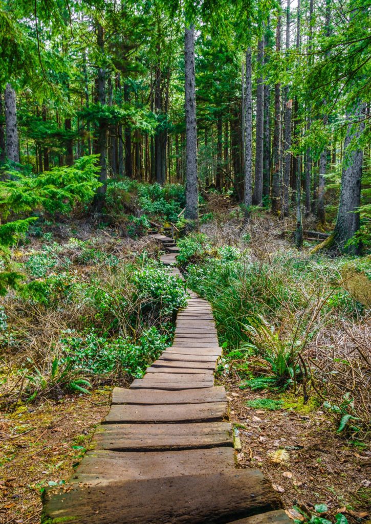 Board walk at Cape Flattery, Neah Bay, WA