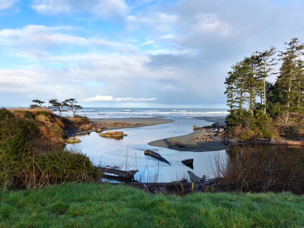 The view from Kalaloch Lodge in Olympic National Park