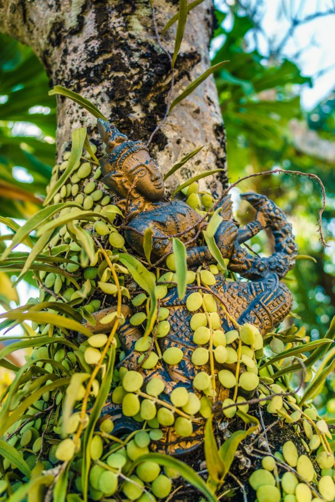 Tiny buddha in a treet, Luang Prabang, Laos