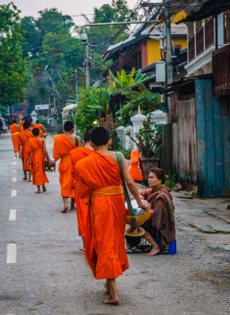 Monks at the morning alms giving ceremony, Luang Prabang, Laos