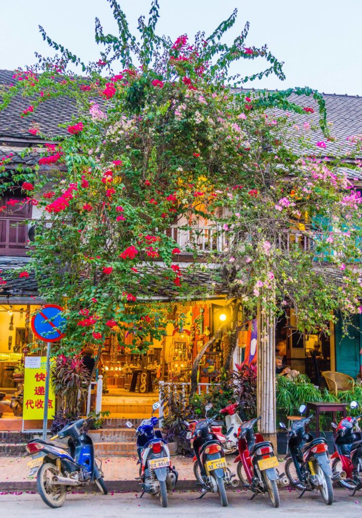 Flowers in the street, Luang Prabang, Laos