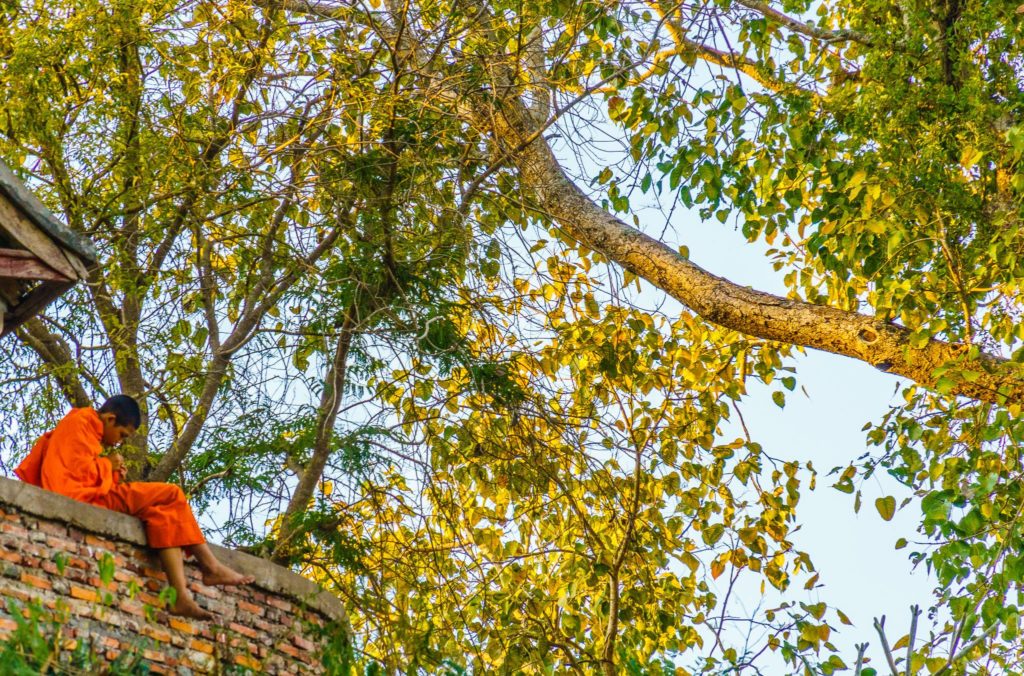 Monk in Luang Prabang, Laos