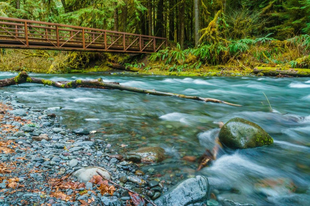 Bridge near Marymere Falls, Lake Crescent, Olympic National Park