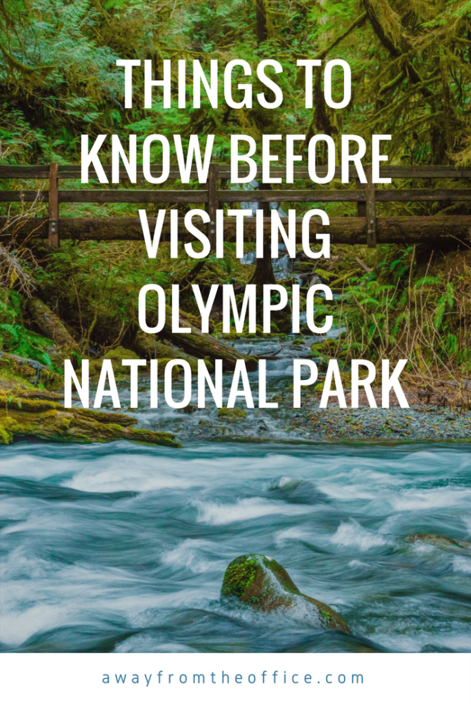 Things to Know Before Visiting Olympic National Park