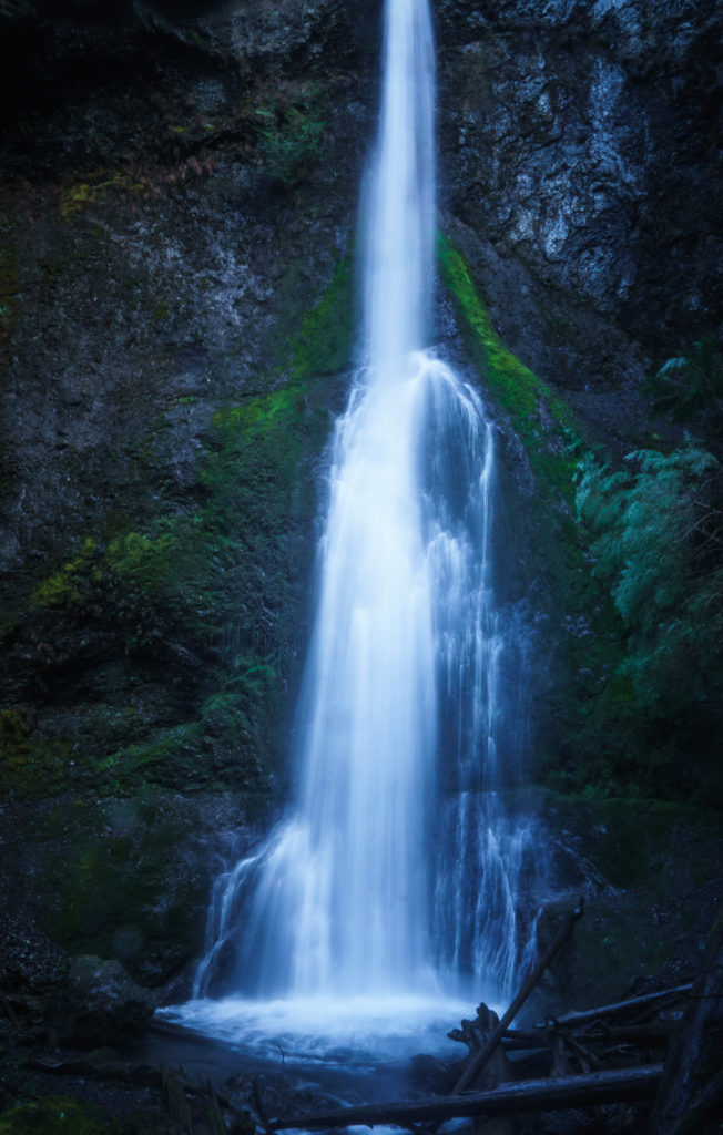 Marymere Falls, Olympic National Park