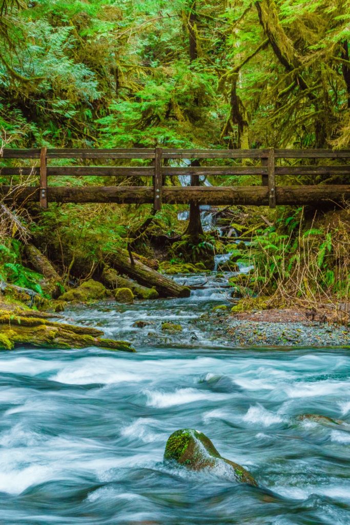 Water near Marymere Falls, Olympic National Park