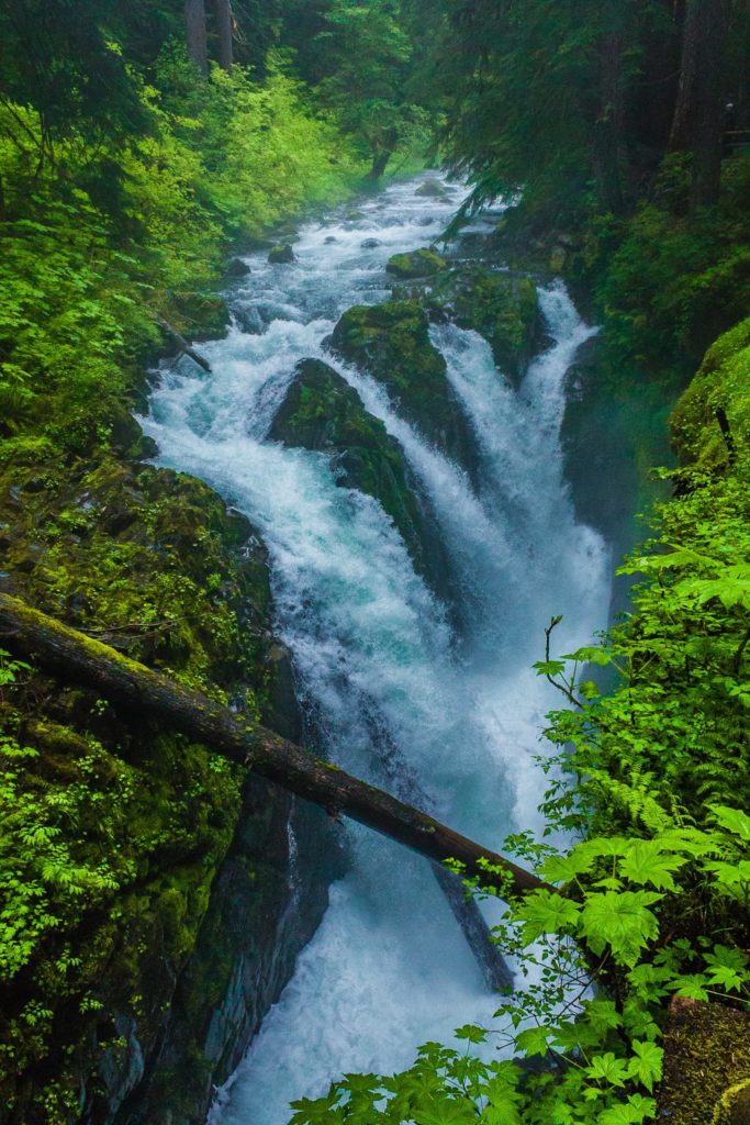Sol Duc Falls: Olympic National Park