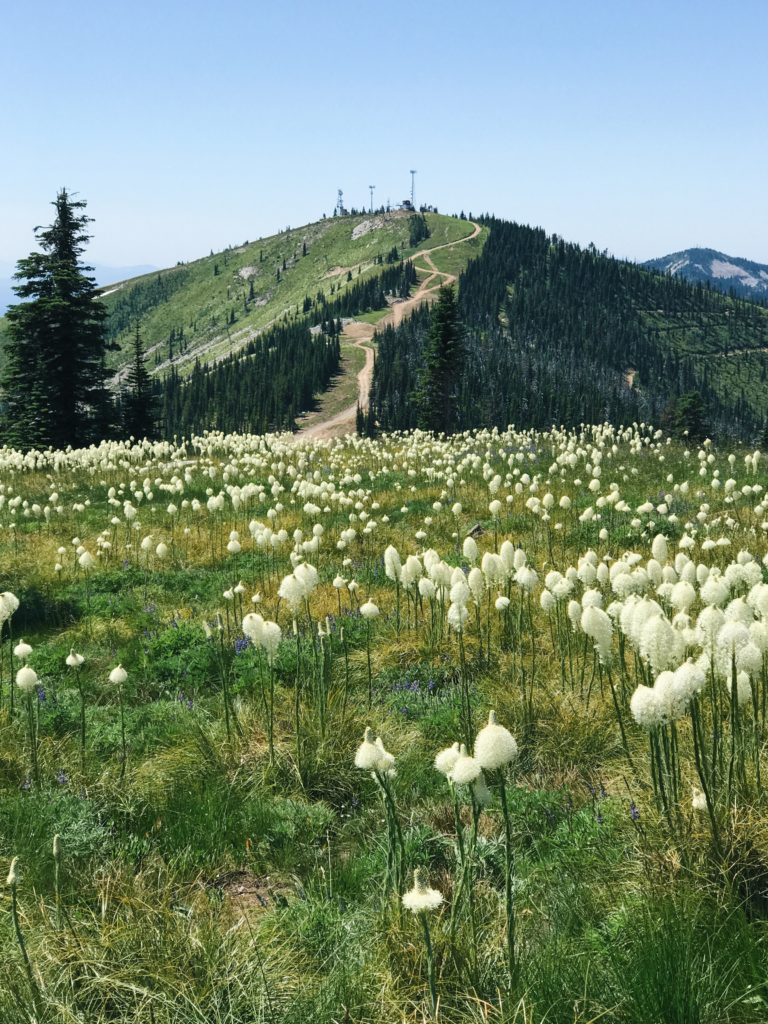 Schweitzer Mountain Resort, Sandpoint, IdahoSchweitzer Mountain Resort, Sandpoint, Idaho