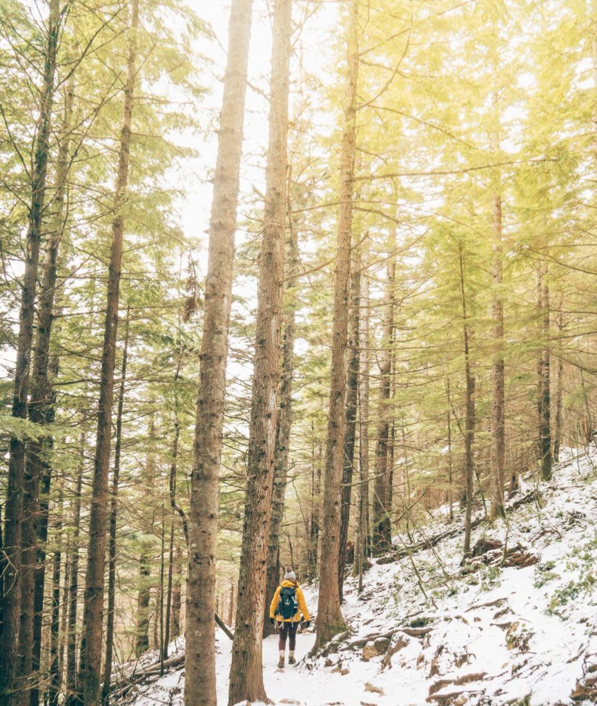 Hiking Rattlesnake Ledge, near North Bend, Washington