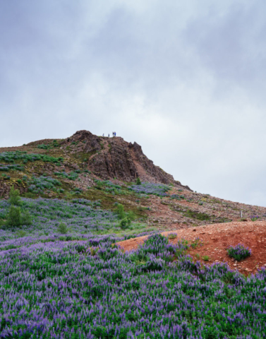 Near Geysir, Iceland