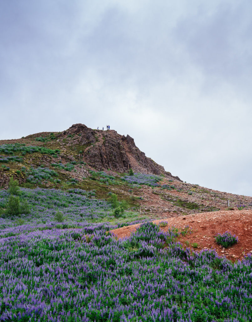 Hiking around Geysir, Iceland