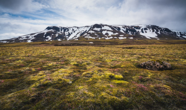 On the way to Kerlingarfjöll, Iceland