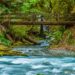Olympic National Park: A Weekend Road Trip