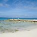 8 reasons why cruises aren't for me