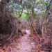 Two days in Tayrona National Park, Colombia